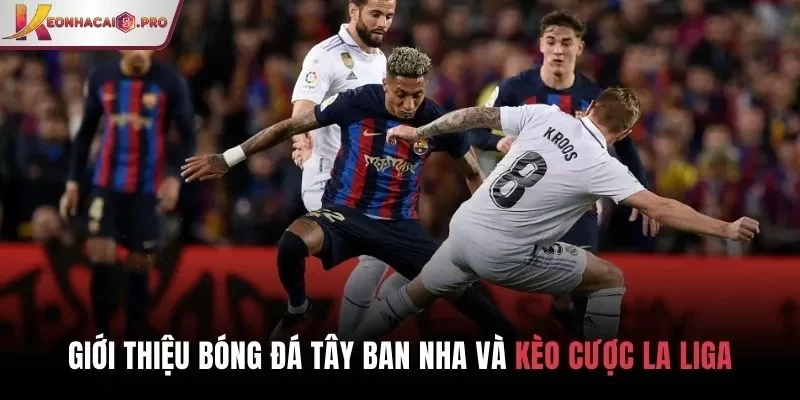 Giới thiệu bóng đá Tây Ban Nha và kèo cược La Liga